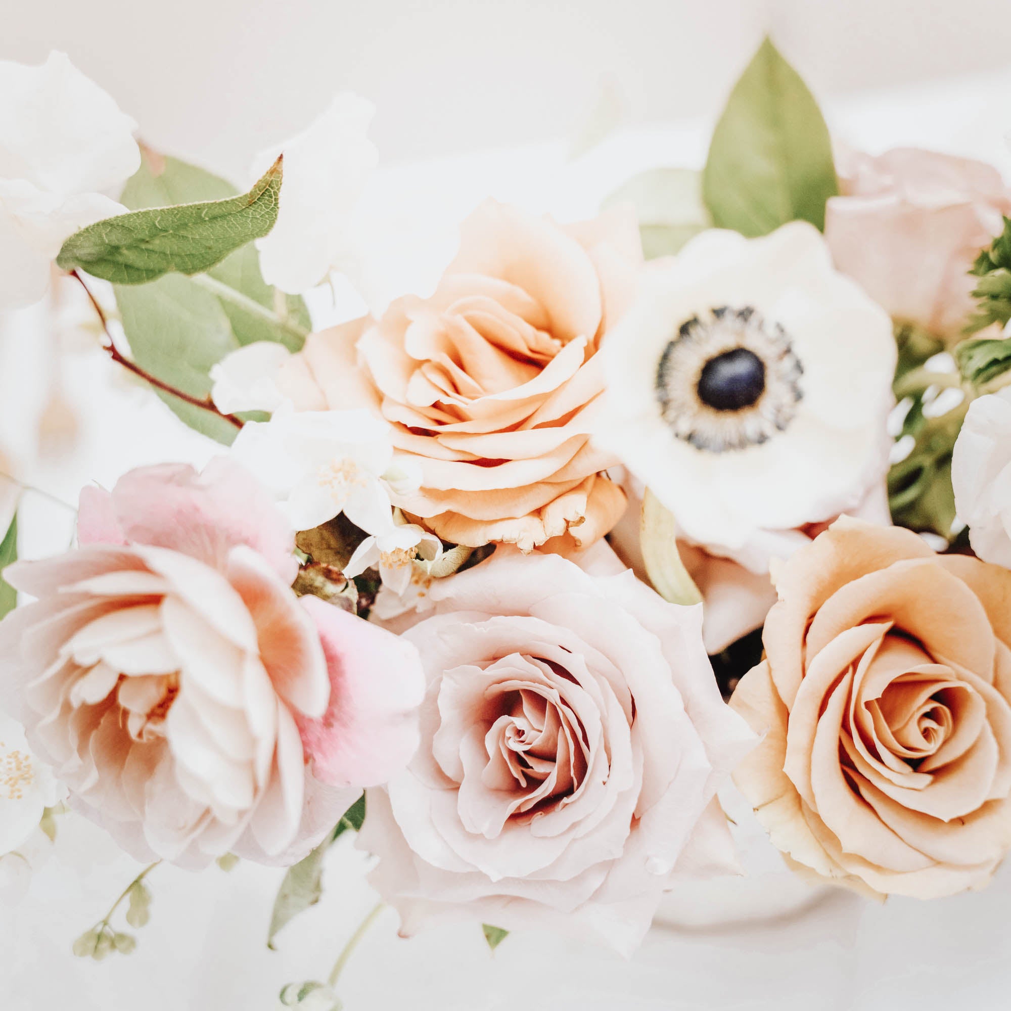 Petite Signature Event Bloom Arrangement