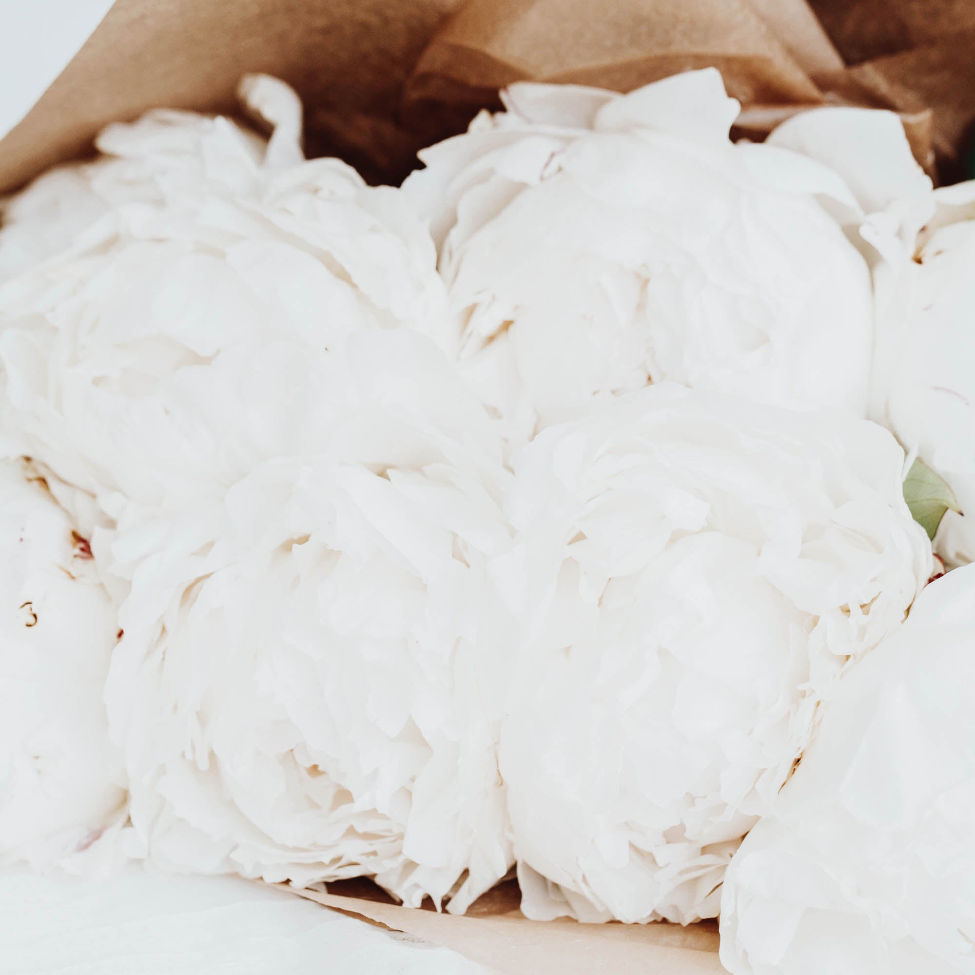 Peony Wrapped Bouquet