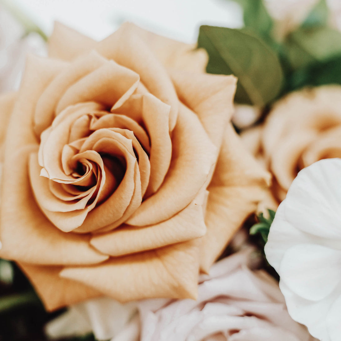 Classic Signature Event Bloom Arrangement