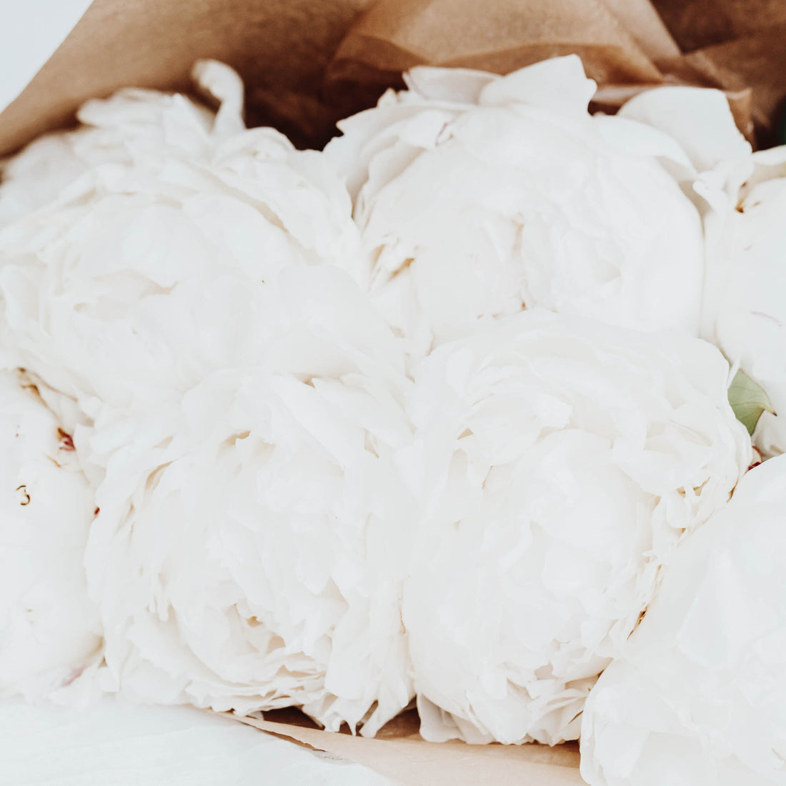 Peony Wrapped Bouquet