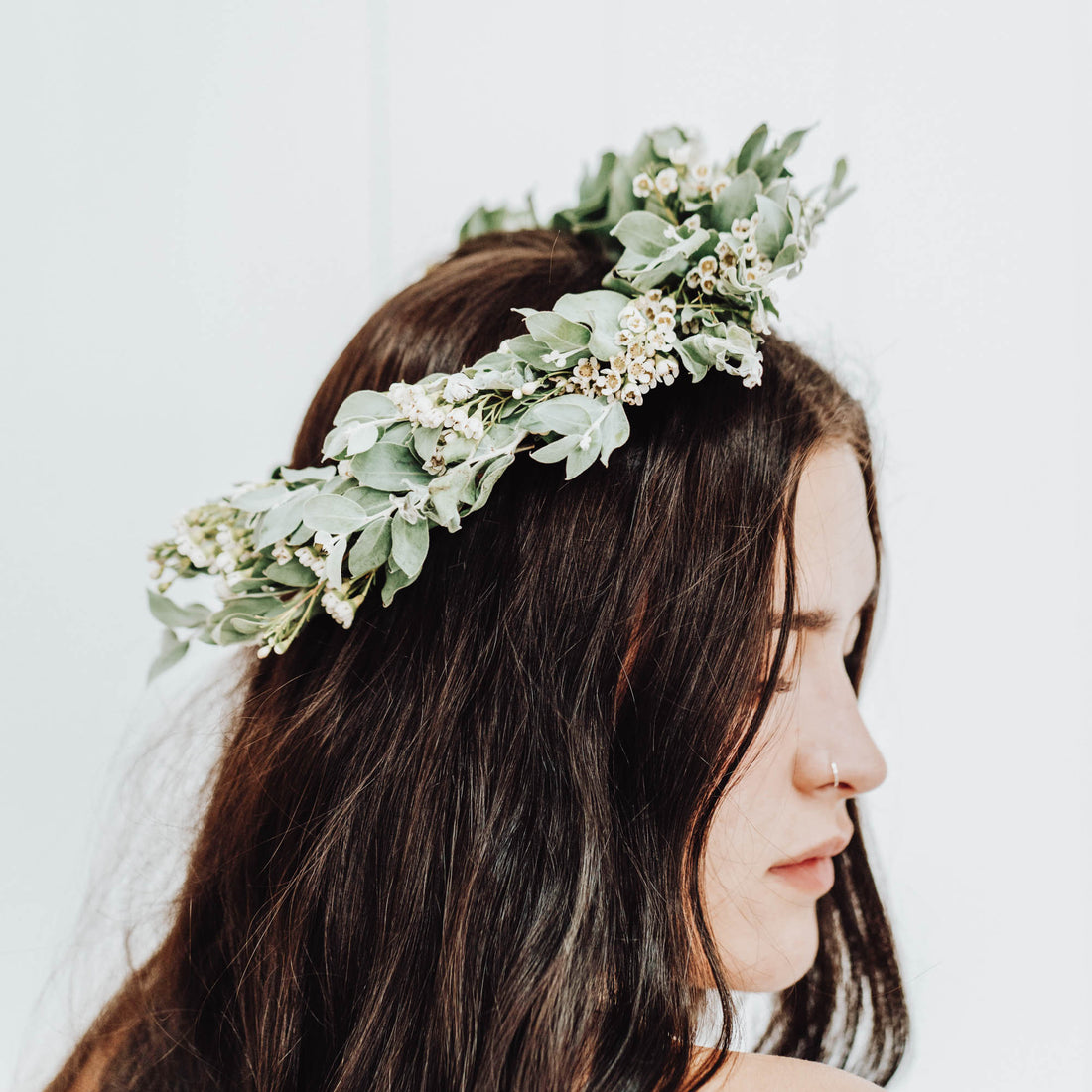 Eucalyptus Crown