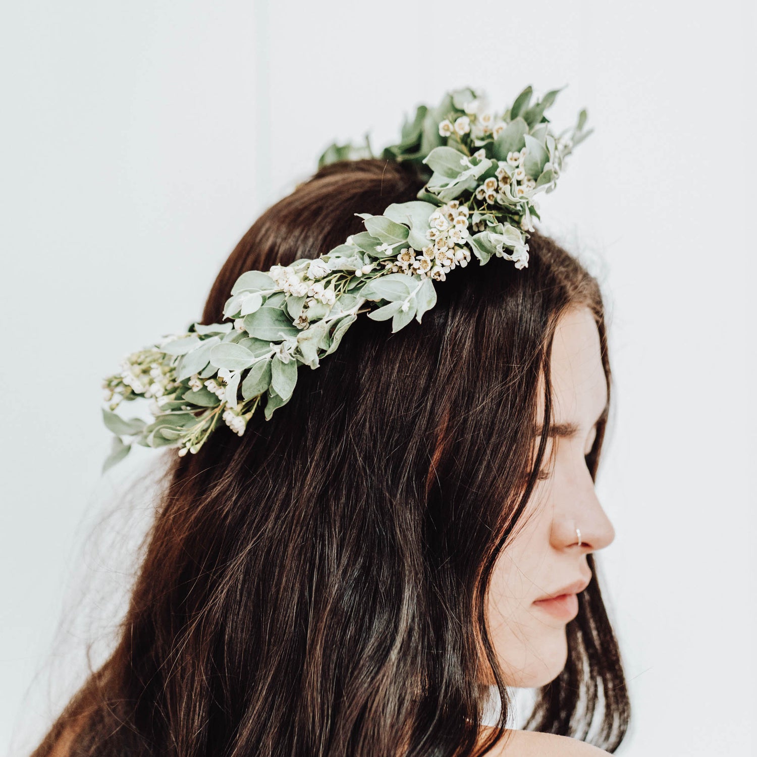 Eucalyptus Crown
